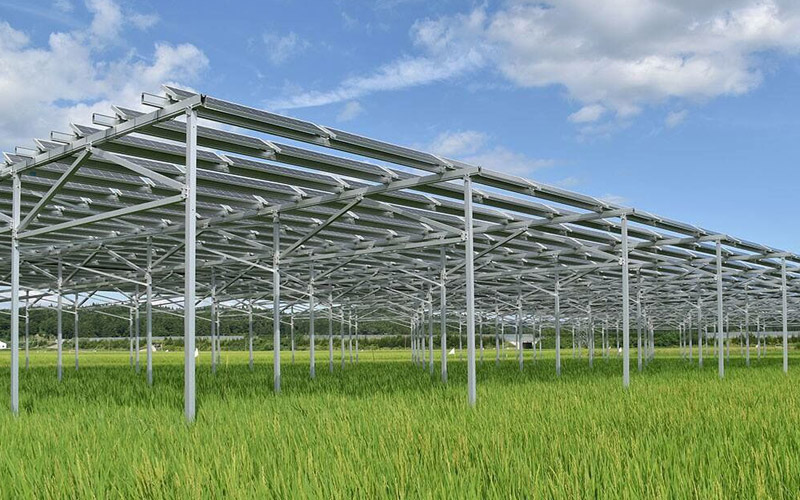 Farm PV Mounting System,Agrivoltaic system