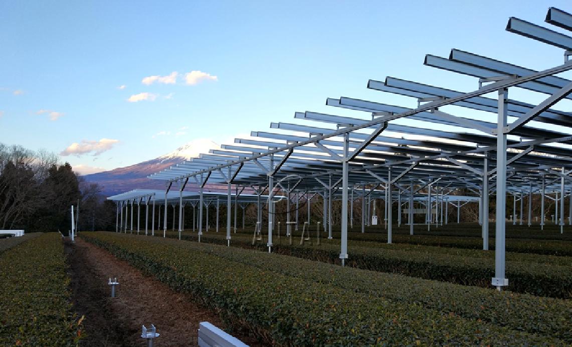 Open Land Agricultural Solar Racking Solution